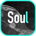 soul优享版无限注册